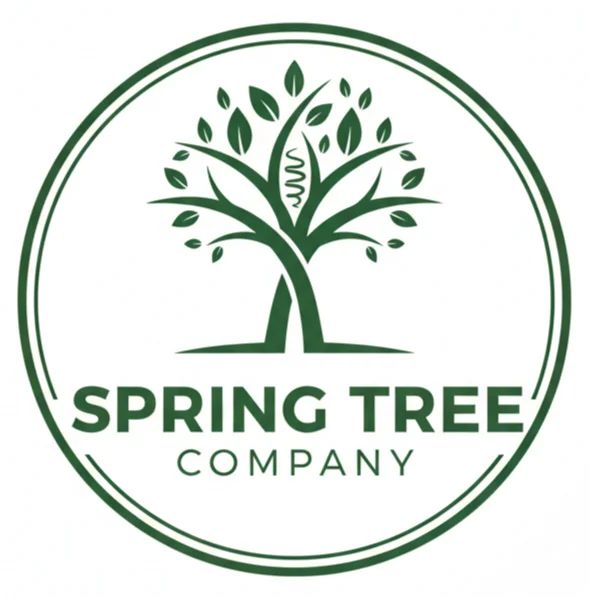 Spring tree Company